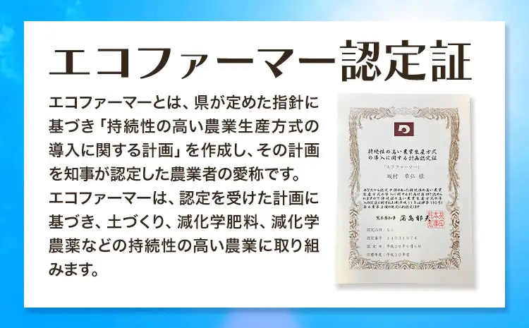 梨 なし 秋麗梨 約5kg(5～18玉前後) 坂村梨園 《8月中旬-11月上旬頃出荷》熊本県 玉東町 秋 旬 梨 フルーツ 果物 期間限定