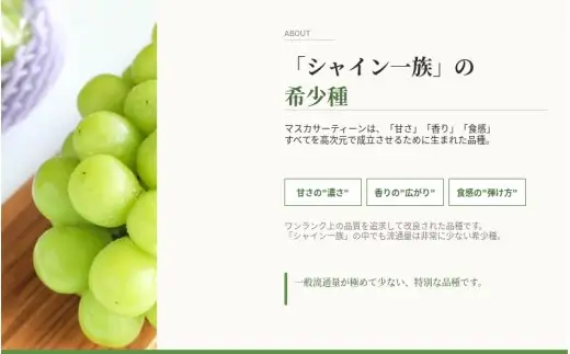 マスカサーティーン【シャインマスカット希少品種】1 kg【2026年先行予約】【ysdb004】