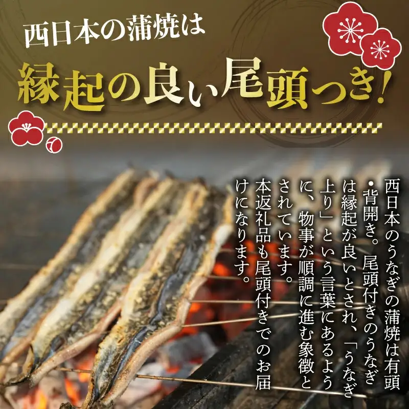 九州産手焼きうなぎ白焼き 2尾（約300g） [M635-1]