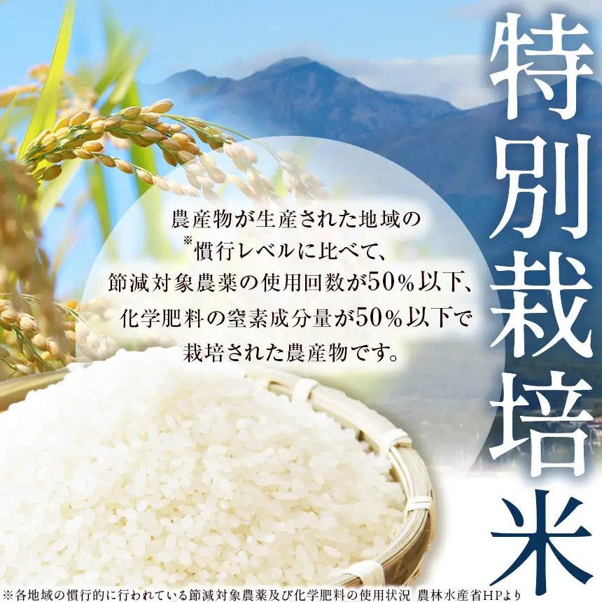 お米 矢板市特別栽培米「コシヒカリ」りんご育ちの こしひかり 10kg 