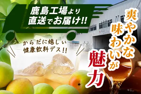 玄米黒酢と梅はちみつ 125ml×24本 3回 定期便 清涼飲料水 飲みやすい サンレイ 紙パック 飲料 飲み物 さわやか サッパリ 健康 美容 抗酸化作用 リピーター 美味しい ストック 定期 常備 人気 送料無料 佐賀県 鹿島市 E-188