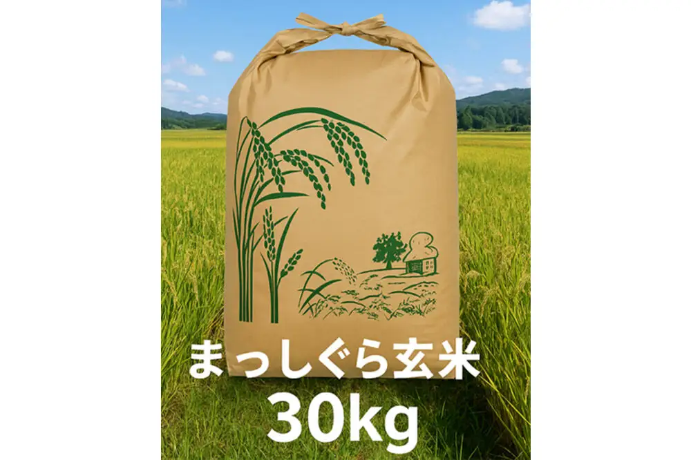 青森県産まっしぐら玄米30キロ 令和7年産 【公式通販】