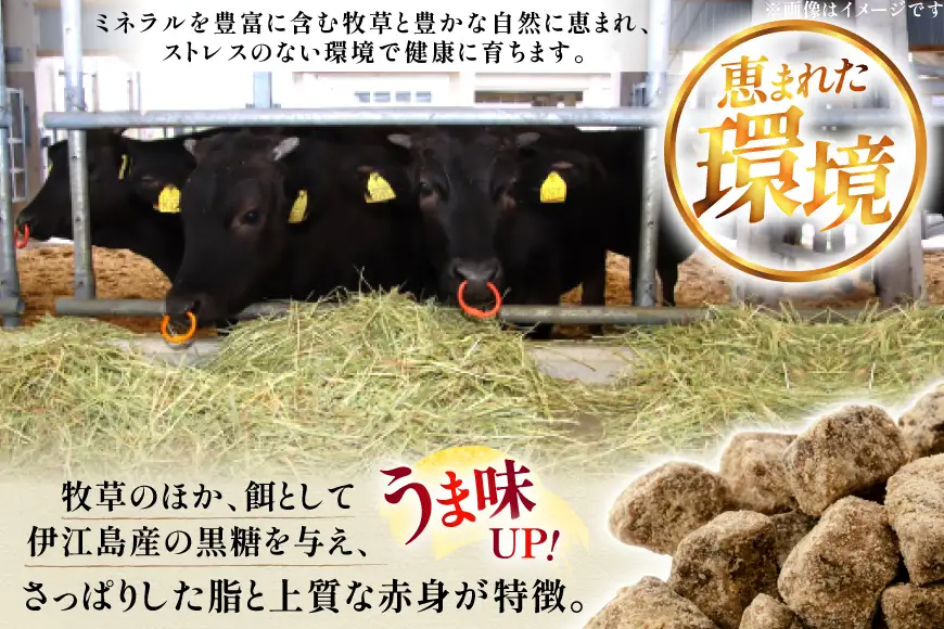 牛肉 伊江島牛 切り落とし 250g 2p 計500g [JAおきなわAコープ 沖縄県 伊江村 ie47bmw520001]