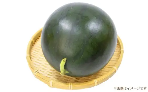 熊本県産 黒小玉スイカ 2玉 4L以上 スイカ 西瓜 食べきりサイズ 黒小玉 国産 果物 くだもの フルーツ 【2026年6月上旬発送開始】