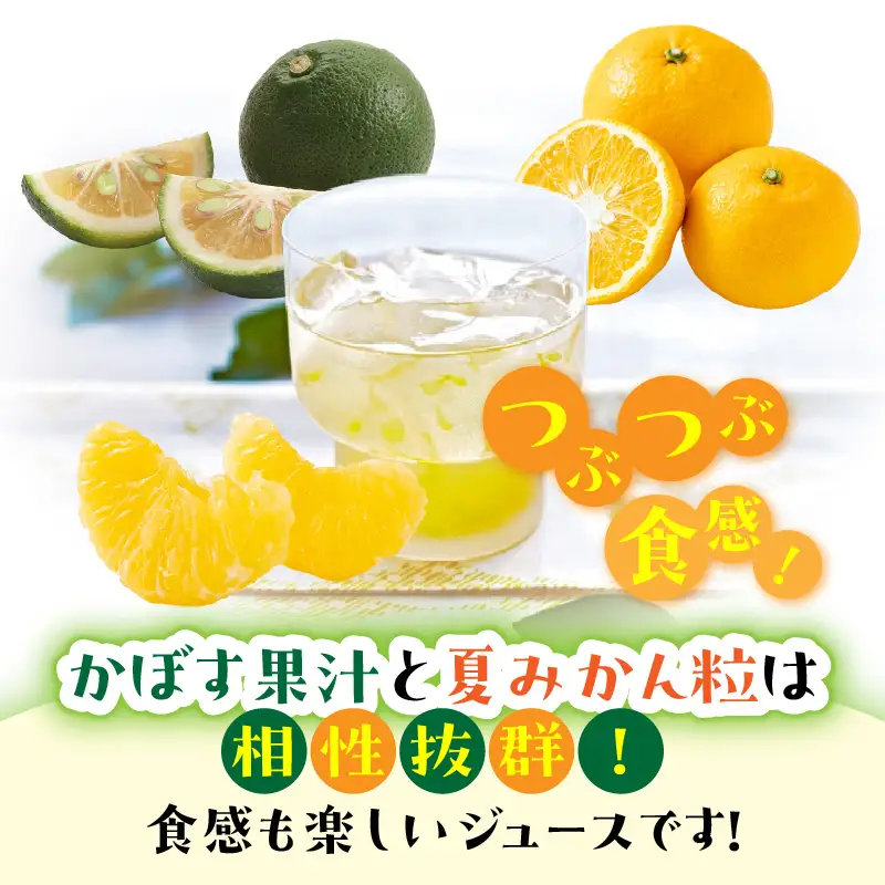 【隔月2ケース】つぶらなカボス　2回定期便_2727R-1