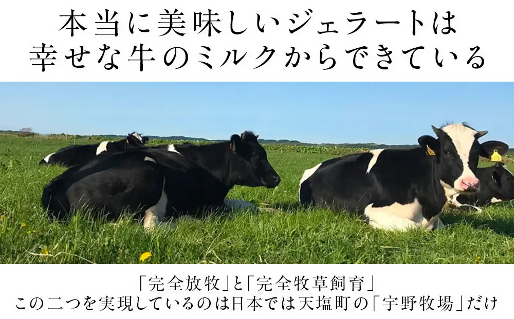 幸せな牛のミルクからできたジェラート 大人のデザート6個セット ＜㈱SAKURA STYLE＞