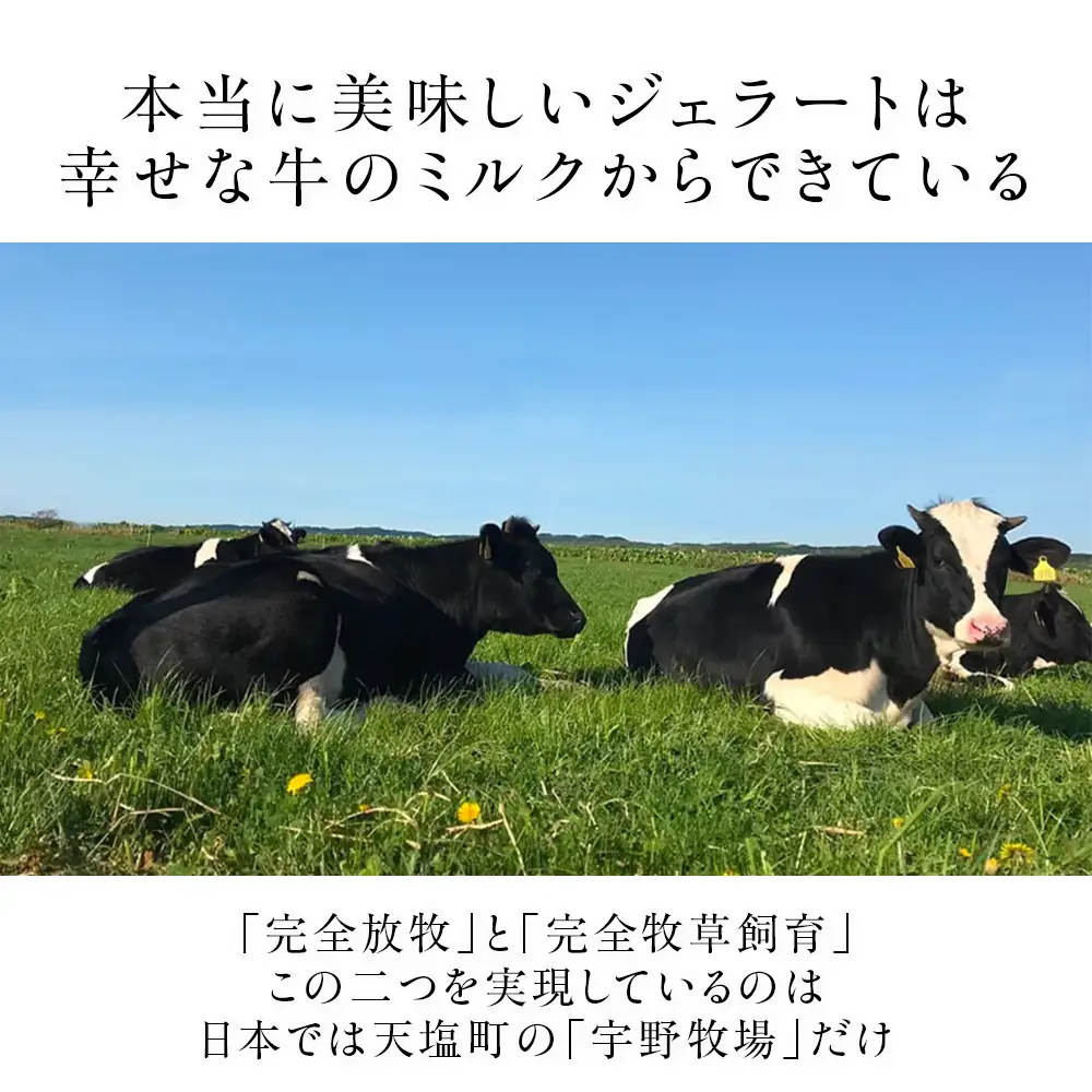 幸せな牛のミルクからできたジェラート 和素材ジェラート6個セット ＜㈱SAKURA STYLE＞