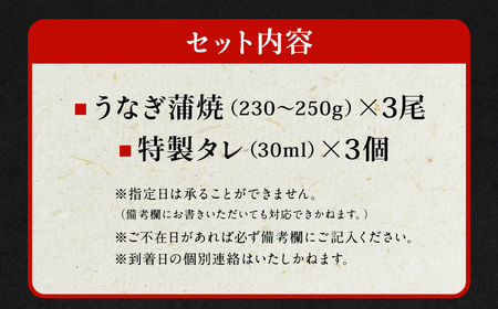 国産 うなぎ 蒲焼 3尾 （690g～750g）と 特製タレ 3個 セット 鰻 ウナギ 蒲焼き うなぎ蒲焼 セイロ蒸し せいろ蒸し タレ付 冷凍 父の日