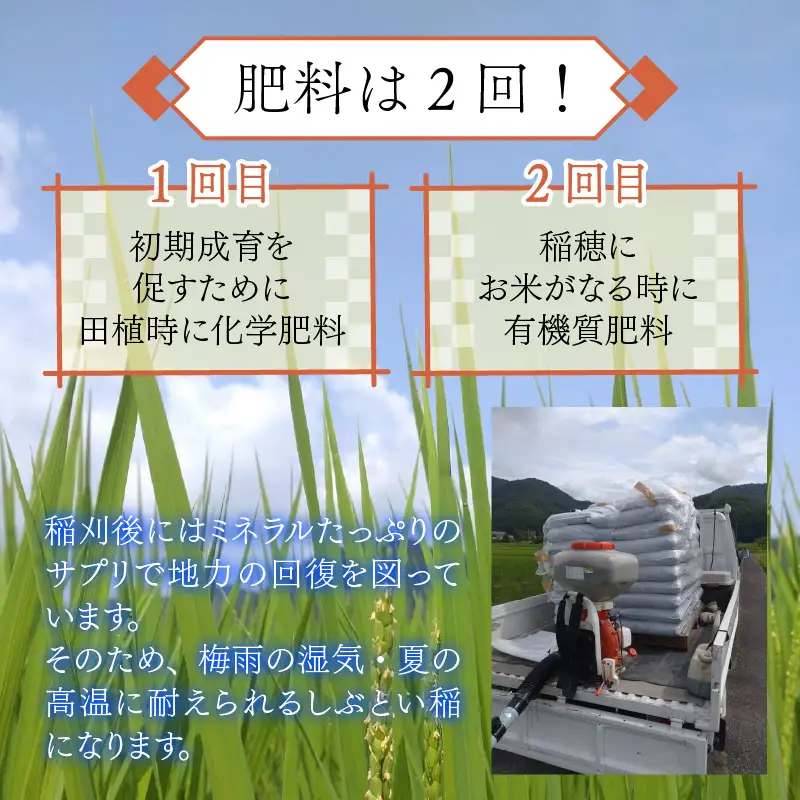 【 先行予約 】 令和8年産 特別栽培米 コシヒカリ 精米 9kg 【2026年10月末より順次発送開始予定】米