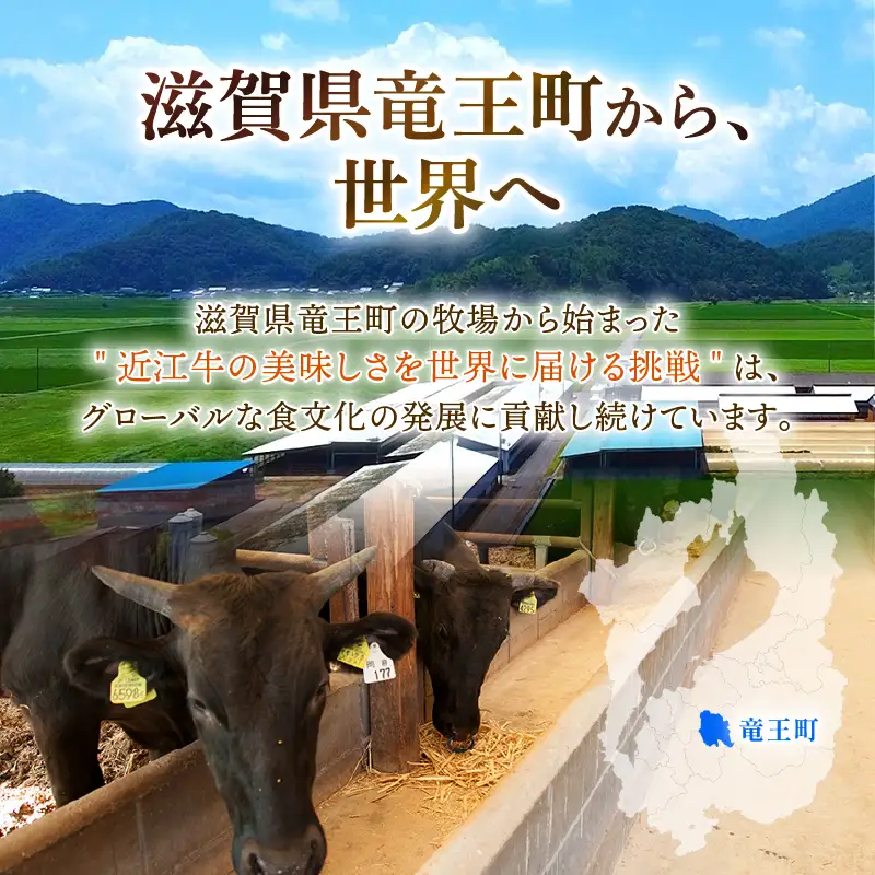 ベーコン ブロック 熟成 500g 1パック 岡喜 自社工場 自家製