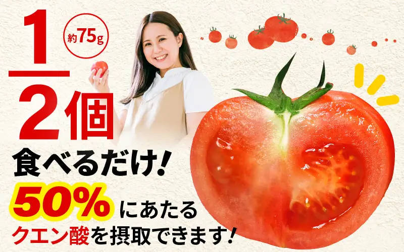 定期便 ≪3ヶ月連続お届け≫ クエン酸トマト習慣便 みつぼしトマト クエン酸 約400g × 2袋 × 3回 (計2.4kg) とまと 機能性表示食品 [A-2618]