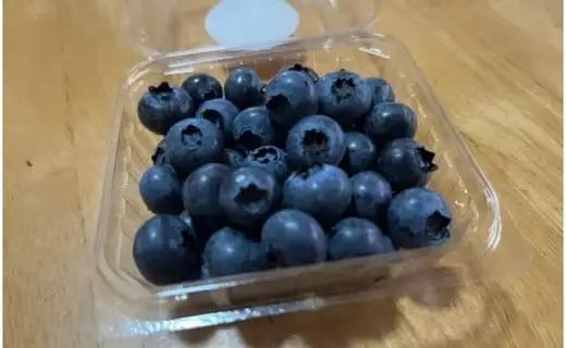 ブルーベリー 生 400g 100g×4パック 岩手県 遠野市 遠野食工房蔵 / 栽培期間中 農薬不使用 無農薬 除草剤 不使用 砥森山ブルーベリー園 完熟 生ブルーベリー 【 先行予約 2026年7月上旬頃発送予定】