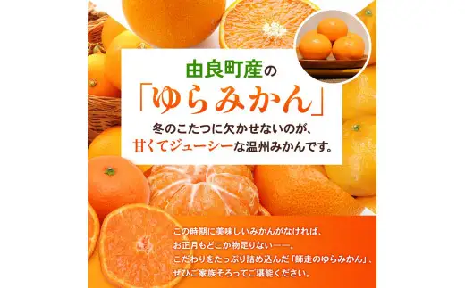  ゆらみかん 2kg / 温州みかん 和歌山県 柑橘 みかん 甘い 蜜柑 フルーツ 果物 くだもの 食品 人気   おすすめ 送料無料 産地直送 由良町 ※2026年11月下旬頃から12月上旬頃に順次発送予定【kzmn004-r-2】