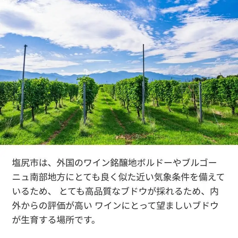 アルプス 酸化防止剤無添加 樽熟 赤&白ワイン 2本セット