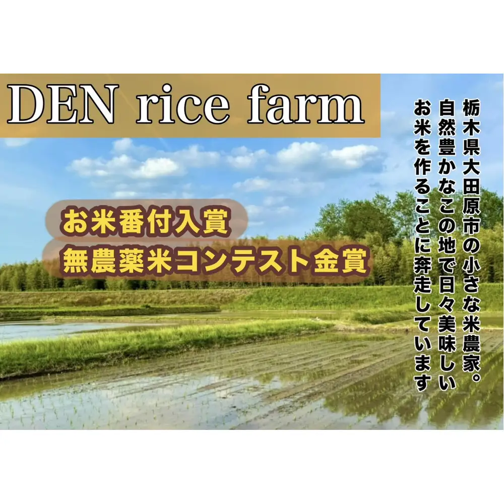 【定期便】【12ヶ月連続お届け】グルテンフリー 無添加 米麺 120g  10個セット（白米麺10個）｜米粉 うどん 焼きそば パスタ 麺