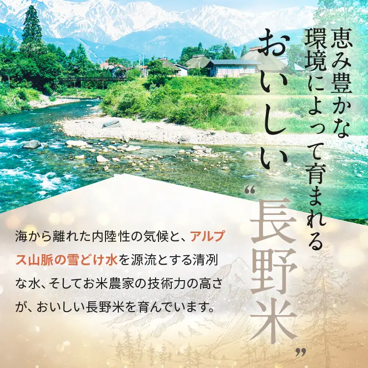 【2026年10月発送】こめのこ 米粉 プレーン シフォンケーキ ＋ 松川村特産 新米 1kg | こめのこ工房なごみや