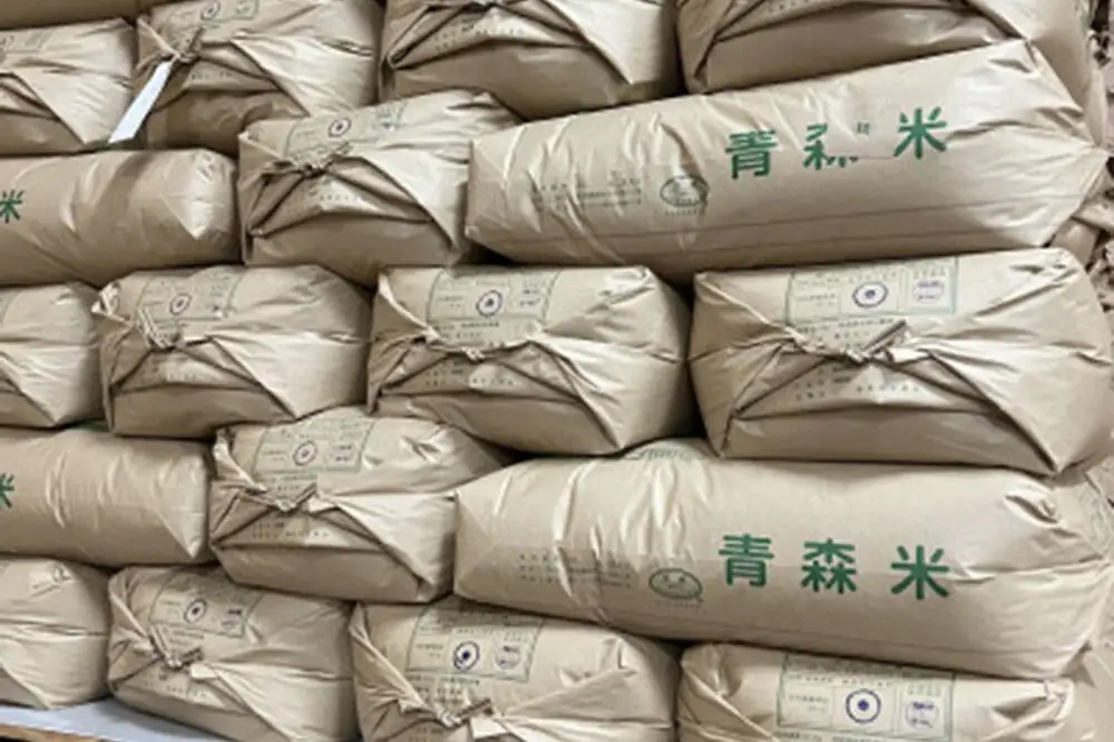 米 一等米 青森県産あきたこまち白米（真空パック） 精米 10kg 令和7年産