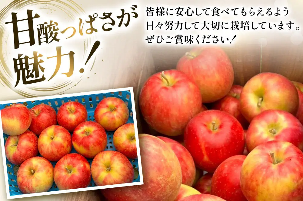 【26年10月発送】りんご 葉とらず ジョナゴールド【家庭用】約3kg カワムラファーム 青森県 弘前市