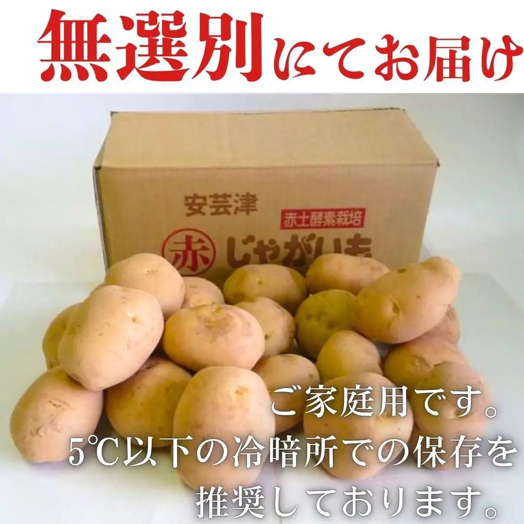 【予約商品】安芸津のじゃがいも　5kg【配送時期：7月上旬～下旬】