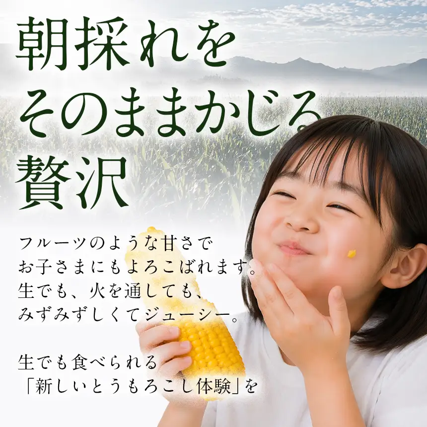 生で食べられる極上の 八ヶ岳 生 とうもろこし 10本入り【2026年7月中旬～発送】