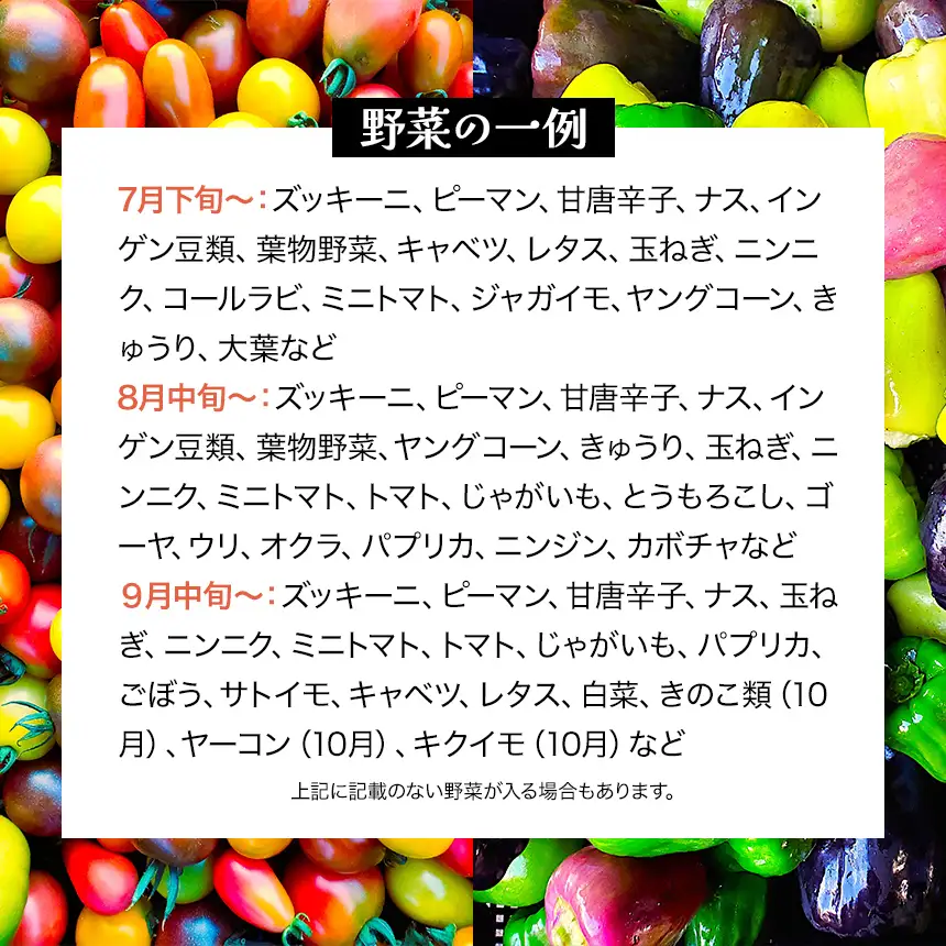 【栽培期間中農薬不使用・無化学肥料・無家畜性肥料で育てた】 季節の 野菜セット ( Mサイズ )【2026年8月上旬～発送】