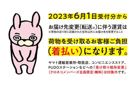 りんご 紅みのり 秀 5kg 【9月上旬発送】 農家直送 山形県 朝日町産 山形県産 果物 フルーツ リンゴ 林檎 夏 秋 産地直送 先行予約