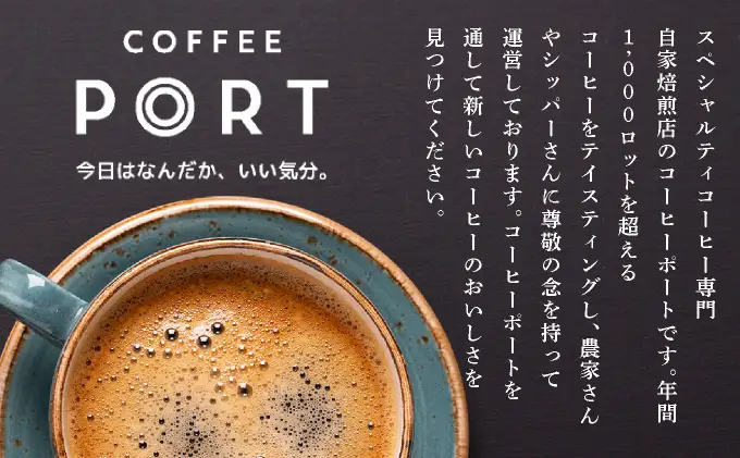 スペシャルティコーヒー100％　特別なアイスコーヒー2本セット [011-a020]