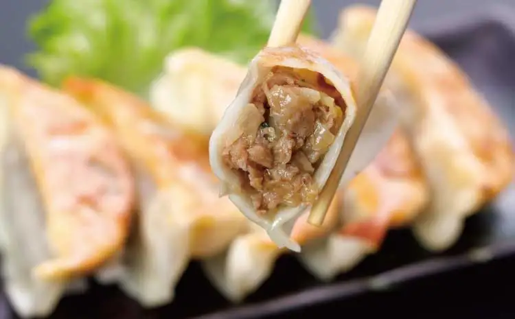 熊本和牛あか牛ぎょうざ 60個(20個入り×3箱)