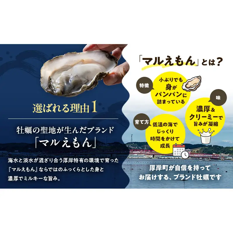 鮮度そのまま 北海道 厚岸産 冷凍 むき牡蠣 200g×3パック カキ かき 牡蠣 急速冷凍 新鮮 殻むき不要 便利 アレンジ 海鮮 海産物 国産 厚岸町
