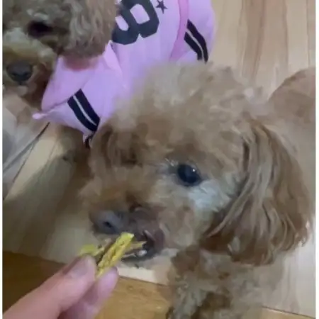 茨城県産ほしいもの未利用部分を使用した犬の無添加おやつ(フレークタイプ90g×4袋)【配送不可地域：離島・沖縄県】【1729693】