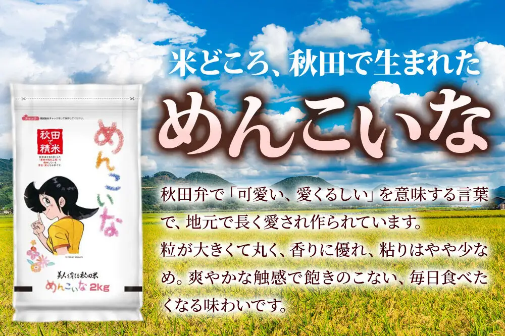 米《定期便3ヶ月》めんこいな【白米】 米どころ秋田県産 令和7年産 精米 2kg（2kg×1袋）