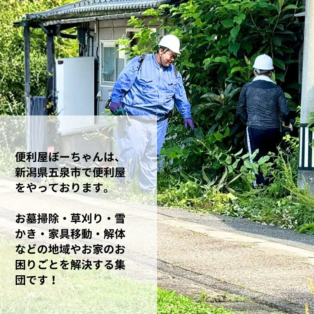 木の伐採サービス 1回 五泉市内限定 便利屋ぼーちゃん
