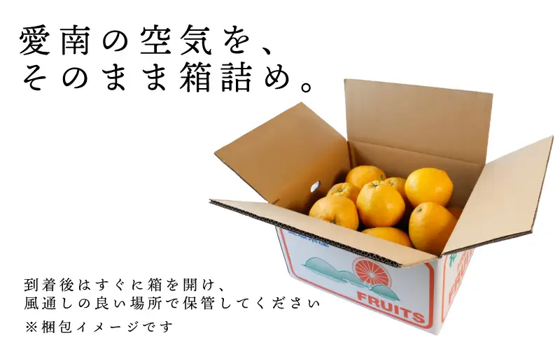 訳あり 愛南ゴールド 河内晩柑 大玉 7kg