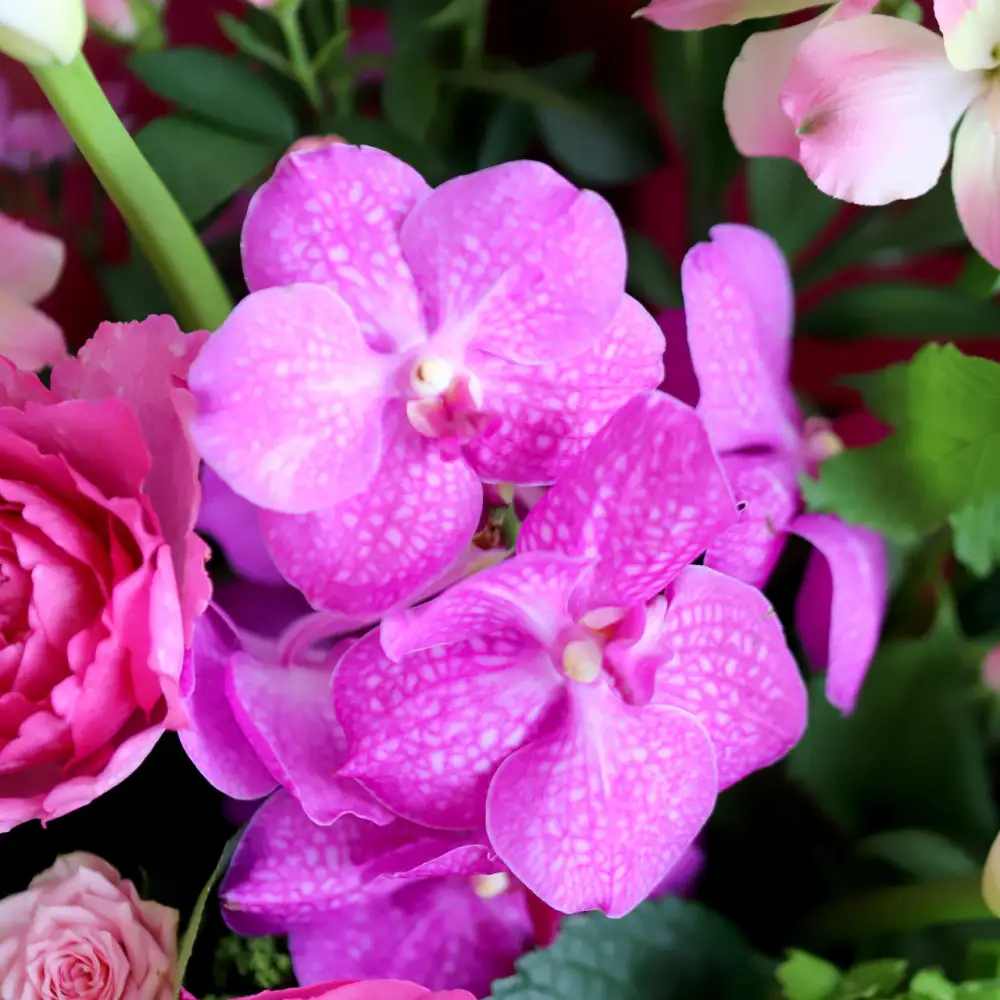 【母の日】華やかに贈るおまかせアレンジメント ※北海道・沖縄・離島への配送不可