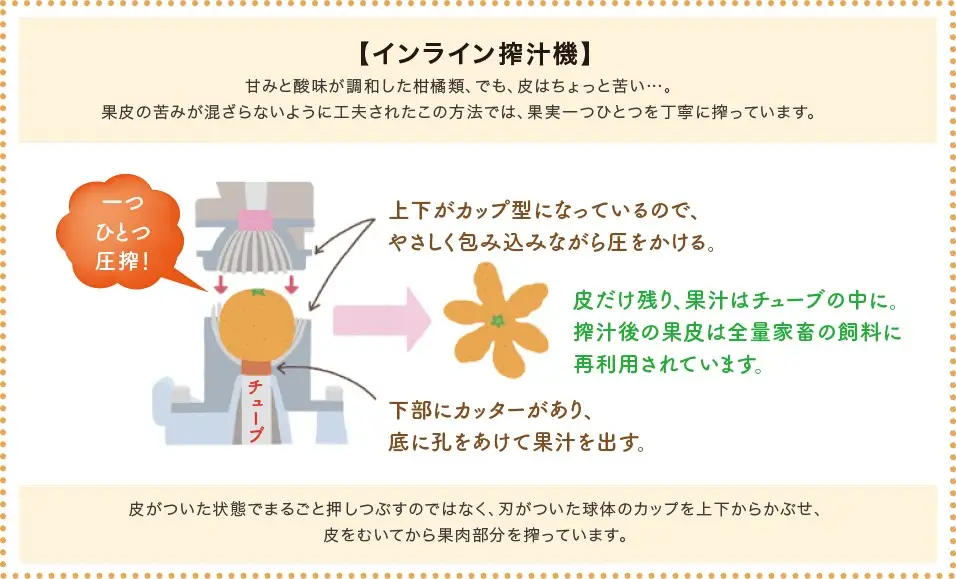 温州みかんジュース CRAFT ORANGE 100％果汁 2本 / 早生みかん 早生 ミカン 柑橘 ジュース deuce じゅーす フルーツ 果物 紀州産 和歌山県【kjt013】