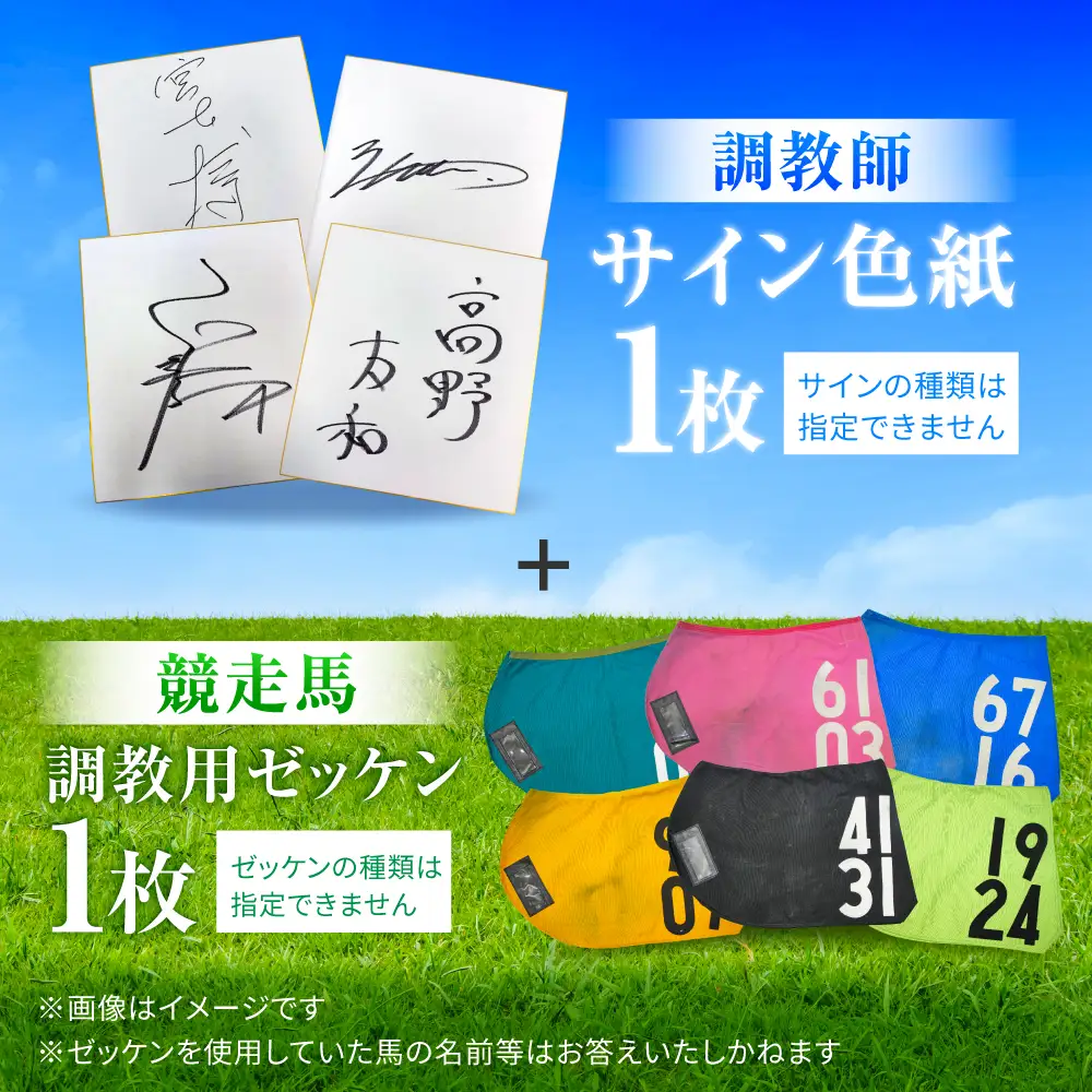 【父の日】【JRA/日本中央競馬会】調教用ゼッケンと調教師サイン色紙 (栗東カラー) BIAM006 競馬 