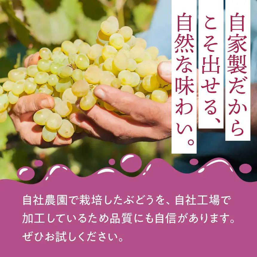 八ヶ岳高原プレミアム 大人の ぶどうジュース シャルドネ 2本セット