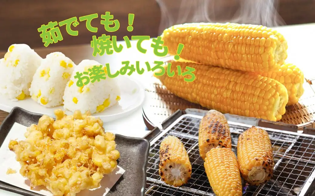 とうもろこし ミルキースイーツ 10本 ゴールドラッシュ トウモロコシ