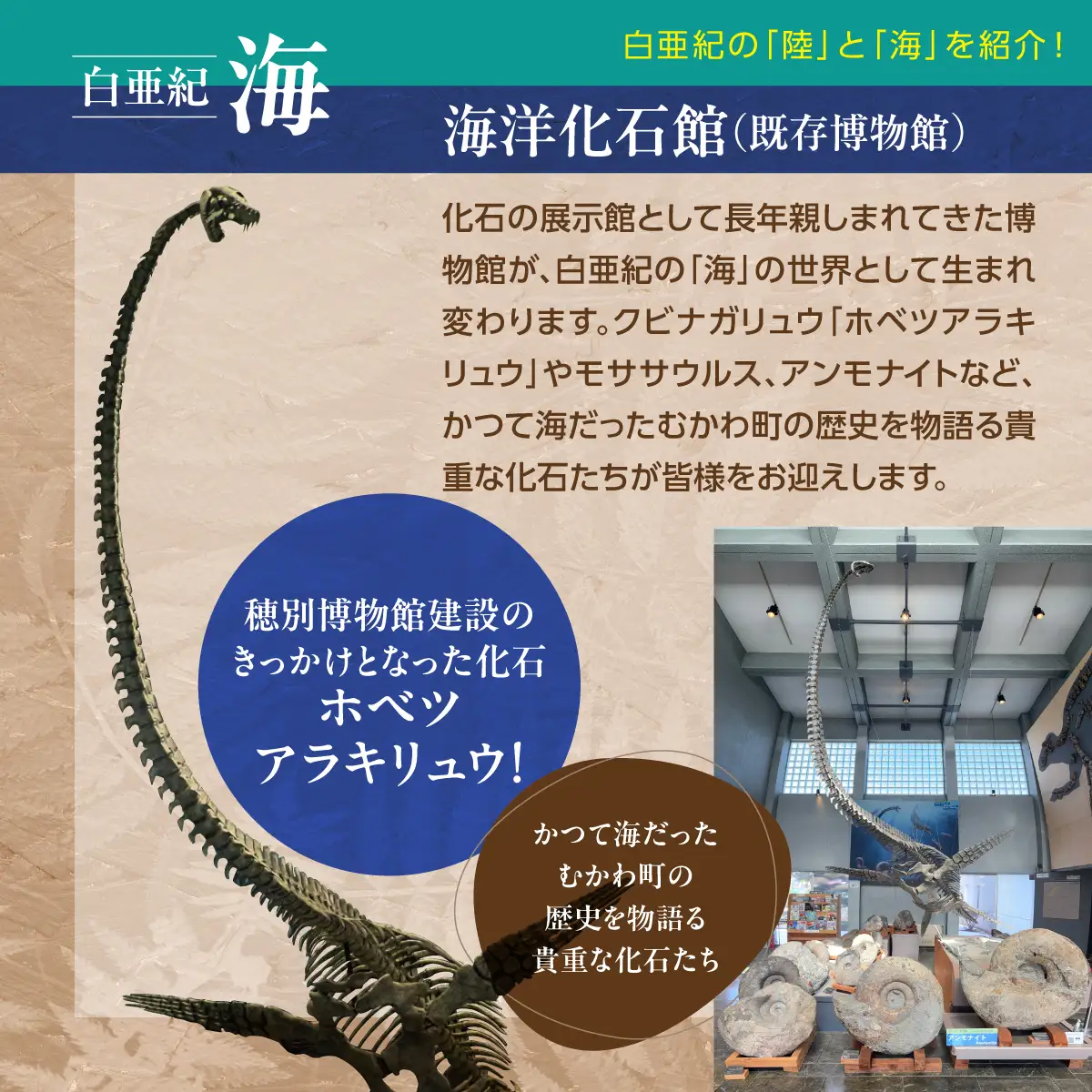 【令和8年4月25日OPEN】恐竜×海洋化石！むかわ町穂別恐竜博物館 共通入館券　大人用４枚セット MKWAM001