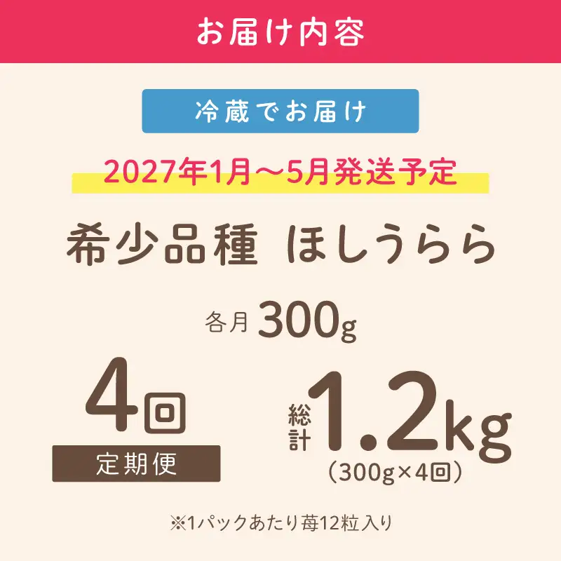 【2027年1月～5月発送予定】【糖度12〜15度の希少品種】いちご  ほしうらら 約300g（約300g×1パック×1箱）4ヶ月定期便【配送不可地域：北海道・沖縄・離島】【121C-003-2027】