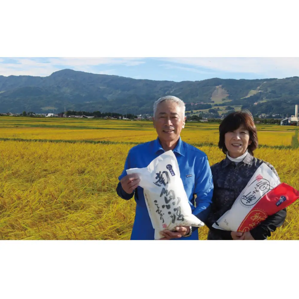 【令和8年産先行予約】【定期便12ヵ月】南魚沼産新之助10kg一等米（5kg×2袋）（10kg×12回）【塩沢地区】【定期便 銘柄米 ブランド米 精米 新之助 魚沼産 新潟米】【2026年10月中旬より1ヶ月以内に順次発送予定】