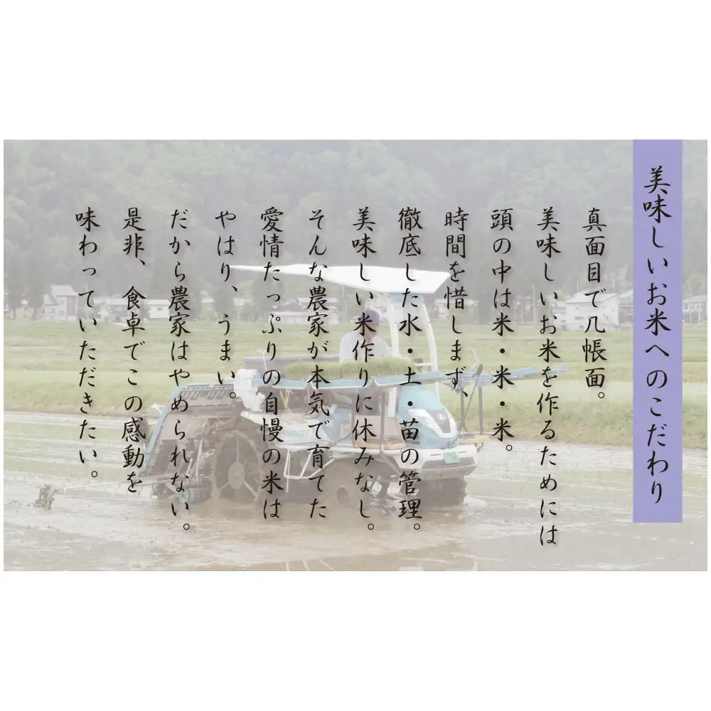 【令和8年産先行予約】南魚沼産コシヒカリ5kg【塩沢地区】【銘柄米 ブランド米 精米 こしひかり コシヒカリ 魚沼産 新潟米 産地直送 お米 米 こめ コメ ご飯 御飯 ごはん】【2026年10月中旬より1ヶ月以内に順次発送予定】