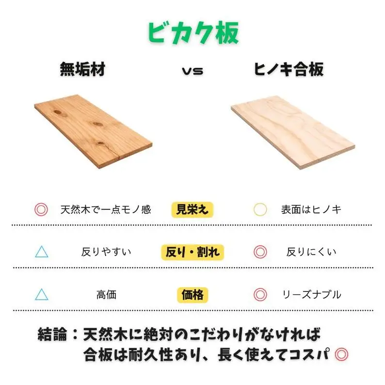 ビカクシダ板 SeamBoard A型 Mサイズ ビカクシダ コウモリラン 板付け 壁掛け 観葉植物 植物 おしゃれ インテリア 室内 無塗装 ギフト プレゼント 育てやすい 株式会社アサヒ 送料無料 愛知県 あま市