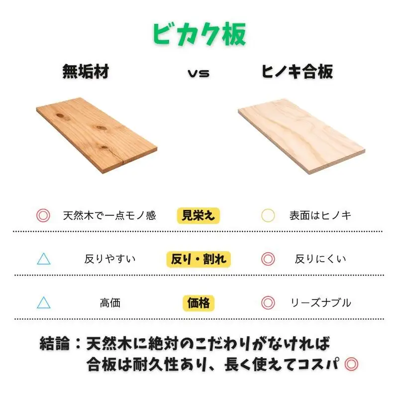 ビカクシダ板 SeamBoard B型 Mサイズ ビカクシダ コウモリラン 板付け 壁掛け 観葉植物 植物 おしゃれ インテリア 室内 無塗装 ギフト プレゼント 育てやすい 株式会社アサヒ 送料無料 愛知県 あま市