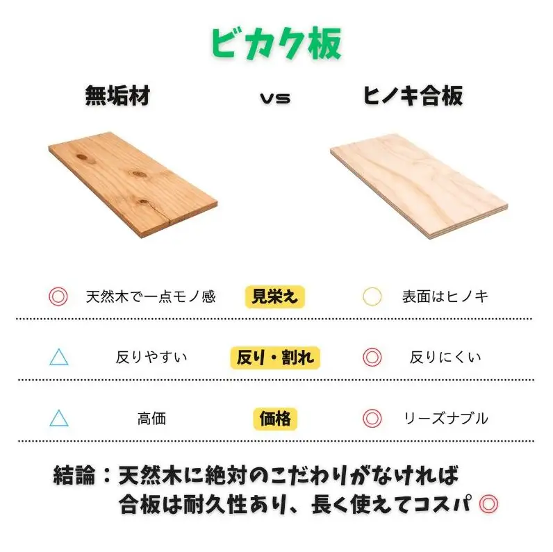 ビカクシダ板 SeamBoard C型 Mサイズ ビカクシダ コウモリラン 板付け 壁掛け 観葉植物 植物 おしゃれ インテリア 室内 無塗装 ギフト プレゼント 育てやすい 株式会社アサヒ 送料無料 愛知県 あま市