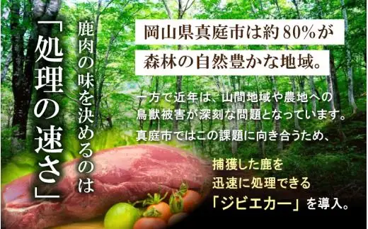 鹿肉ソーセージ 香りを楽しむ3種セット IFFA金賞受賞フランクフルト入り / フランク ハラペーニョ ウィンナー ハーブ【hmwr010-01】