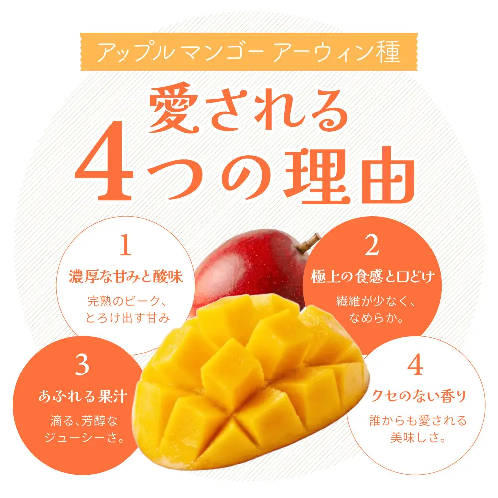 【期間限定】《2026年9月15日まで》アップルマンゴー 2Lサイズ コバヤシ化成 滋賀県 東近江市 A-G26 マンゴー 完熟 予約 冷蔵 フルーツ 果物 濃厚 期間限定 国産 本格 産地直送