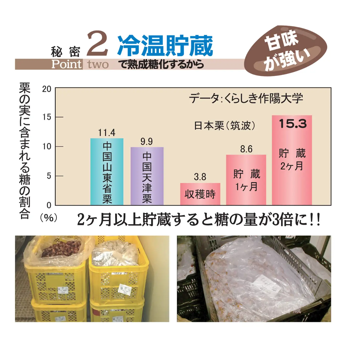 【先行予約】【2026年10月中旬より順次発送】くまさんの焼きグリ【食べ比べセット】 計約800g (約400g×2種) 和栗 焼き栗 利平 おやつ 和菓子 食べ比べ 【くまさんの焼きグリ】[AYDQ001]