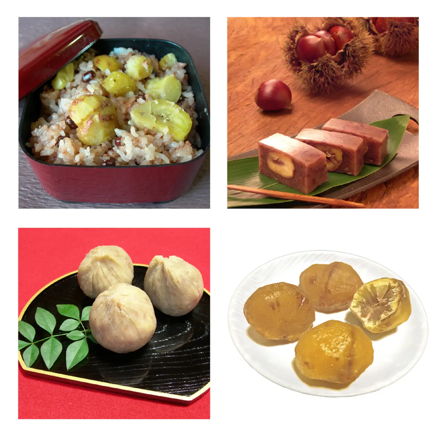 くまさんの冷凍むき栗 【くまもと栗良かとこ取りセット】 計約800g(約200g×4種) むき栗 クリ 和栗 マロン 和菓子 スイーツ【くまさんの焼きグリ】[AYDQ002]