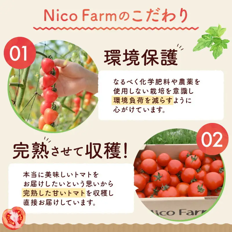 【定期便全3回】無添加 完熟ミニトマト使用 NicoFarm トマトジュース 1L×2本×3回_Y124-0030